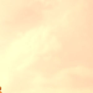 Meet your Posher, Marisol